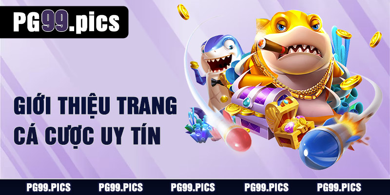 PG99 - PG99.COM | Nhà Cái Mới Uy Tín #2025 9 Giới thiệu trang cá cược PG99